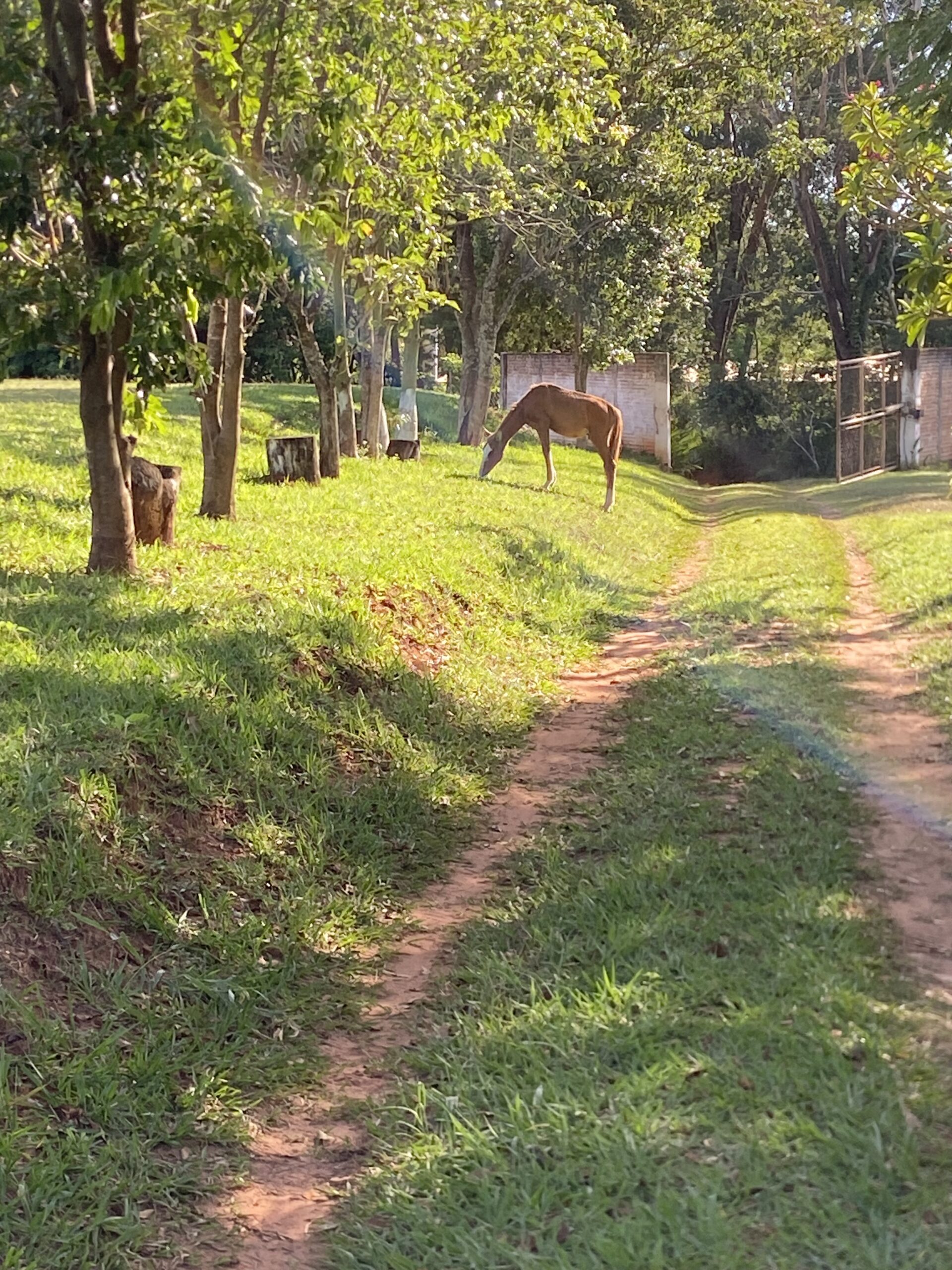 Chacara para aluguel em Bauru - Entrada